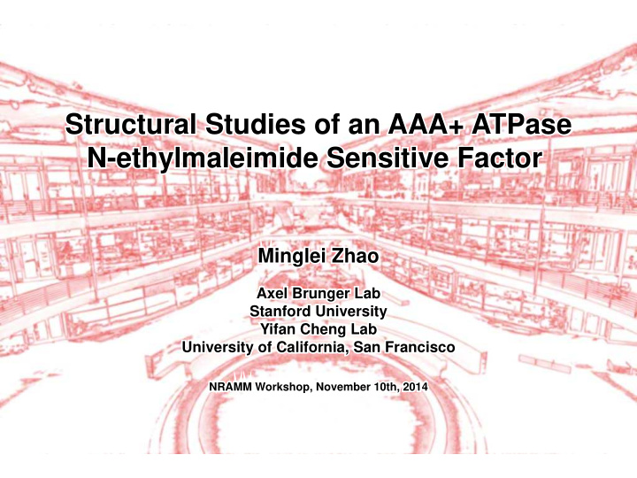 structural studies of an aaa atpase structural studies of