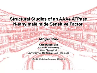 Structural Studies of an AAA+ ATPase  Structural Studies of an AAA+ ATPase  N-ethylmaleimide