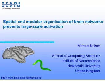 Spatial and modular organisation of brain networks  prevents large-scale activation  Marcus Kaiser