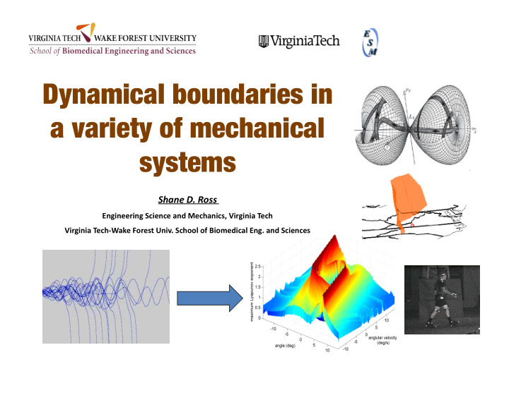 dynamical boundaries in a variety of mechanical systems