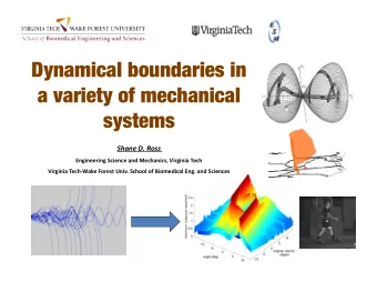 Dynamical boundaries in  a variety of mechanical systems ShaneD.Ross