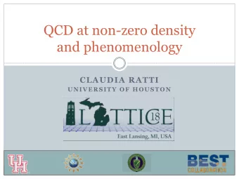QCD at non-zero density  and phenomenology  CLAUDIA RATTI  UNIVERSITY OF HOUSTON  Open Questions