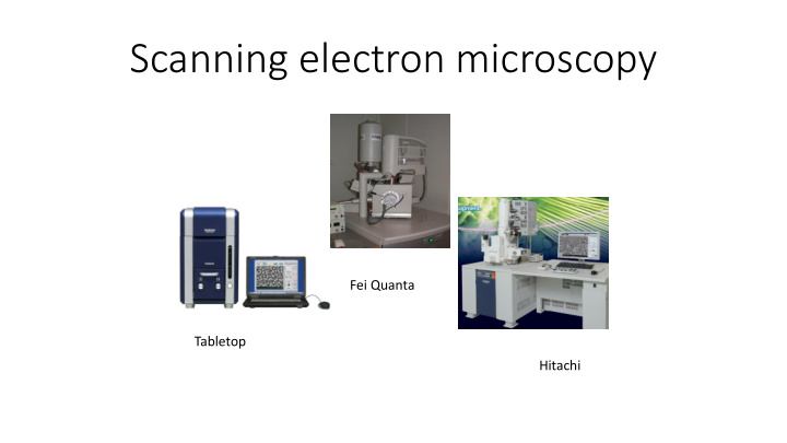 scanning electron microscopy