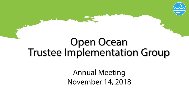 open ocean trustee implementation group