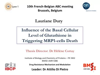 Lauriane Dury  Influence of the Basal Cellular  Level of Glutathione in  Triggering MRP1-cells