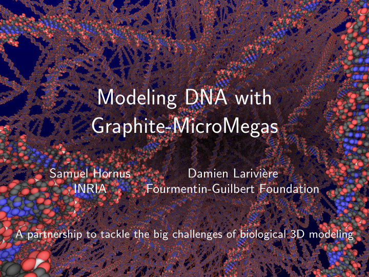 modeling dna with graphite micromegas