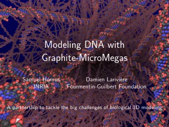 Modeling DNA with  Graphite-MicroMegas  Samuel Hornus  Damien Larivi`  ere  INRIA
