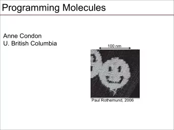 Programming Molecules  Anne Condon  U. British Columbia  100 nm  Paul Rothemund, 2006  Programming