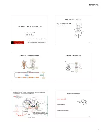 10/28/2011  Reafference Principle Holst E. von and Mittelstaedt H. ( 1950 ) Da;. Reafferenzprincip.