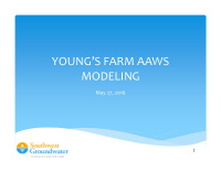 young s farm aaws modeling