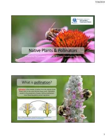 Native Plants &amp; Pollinators  Created by the Kankakee County Soil &amp; Water Conservation