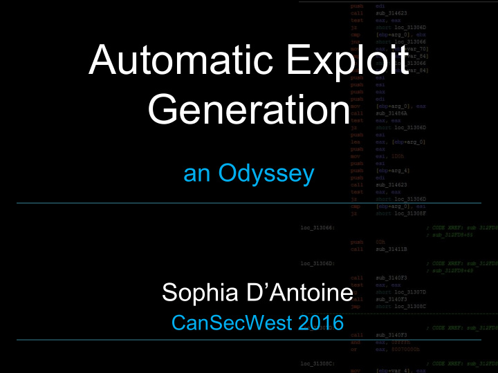 automatic exploit generation