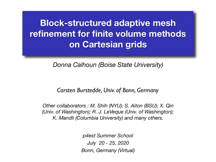 block structured adaptive mesh refinement for finite