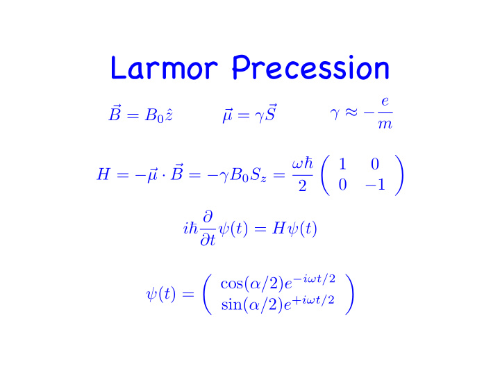 larmor precession