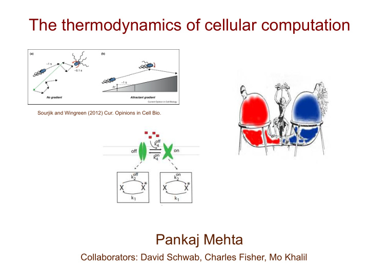 the thermodynamics of cellular computation