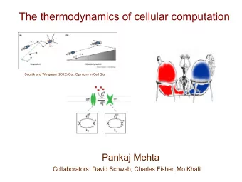 The thermodynamics of cellular computation  Sourjik and Wingreen (2012) Cur. Opinions in Cell Bio.