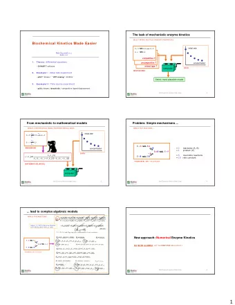 1 Theoretical foundations: Mass Action Law Theoretical foundations: Mass Conservation Law  RATE IS
