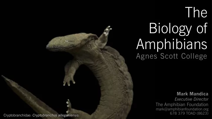 the biology of amphibians