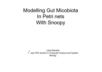 Modelling Gut Micobiota  In Petri nets  With Snoopy  Leila Ghanbar  st  1  year PhD student in