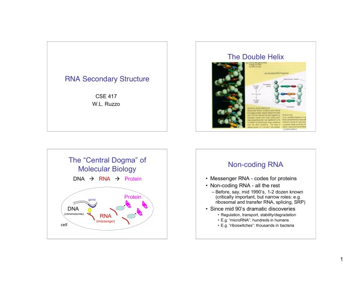 the double helix rna secondary structure
