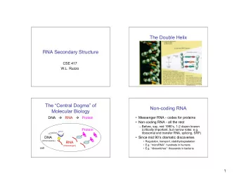 The Double Helix  RNA Secondary Structure  CSE 417  W.L. Ruzzo  Los Alamos Science  The Central