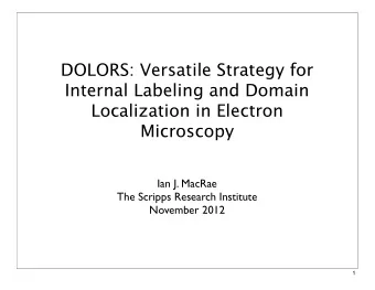 DOLORS: Versatile Strategy for  Internal Labeling and Domain  Localization in Electron  Microscopy