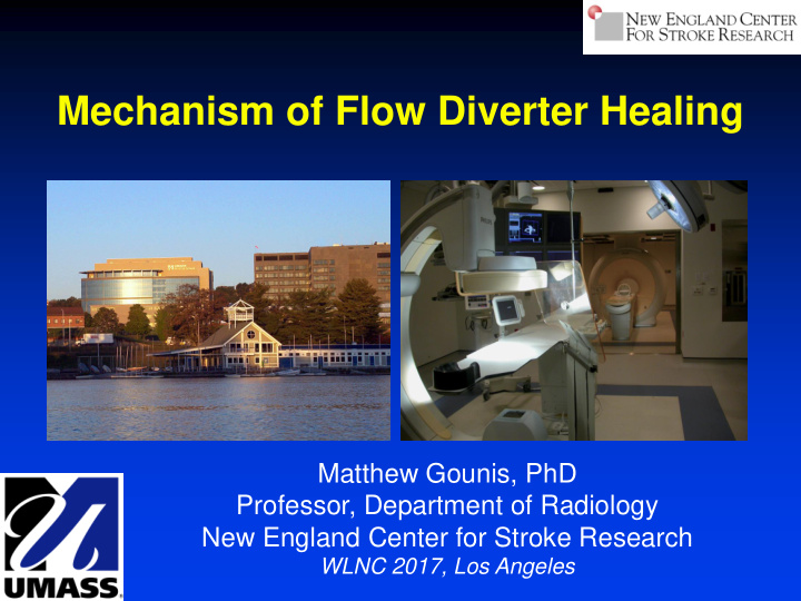 mechanism of flow diverter healing