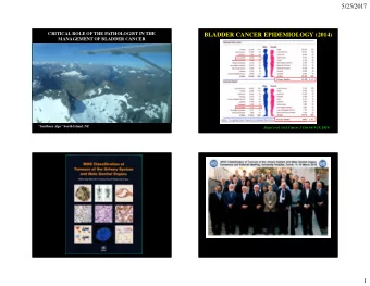 5/25/2017  CRITICAL ROLE OF THE PATHOLOGIST IN THE  BLADDER CANCER EPIDEMIOLOGY (2014)  MANAGEMENT