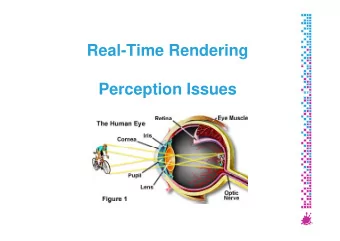 Real-Time Rendering  Perception Issues  Perception Issues  What for?  We want to exploit human