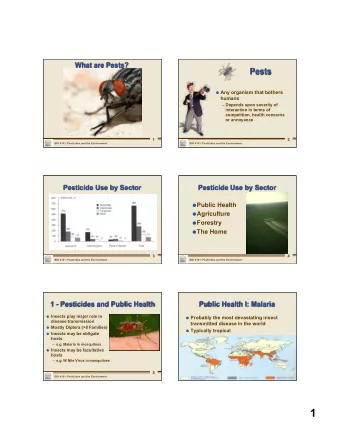1  Chemical Control of Malaria  Public Health I: Malaria  Protozoan of  Most significant