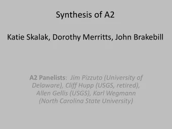 Synthesis of A2  Katie Skalak, Dorothy Merritts, John Brakebill A2 Panelists : Jim Pizzuto