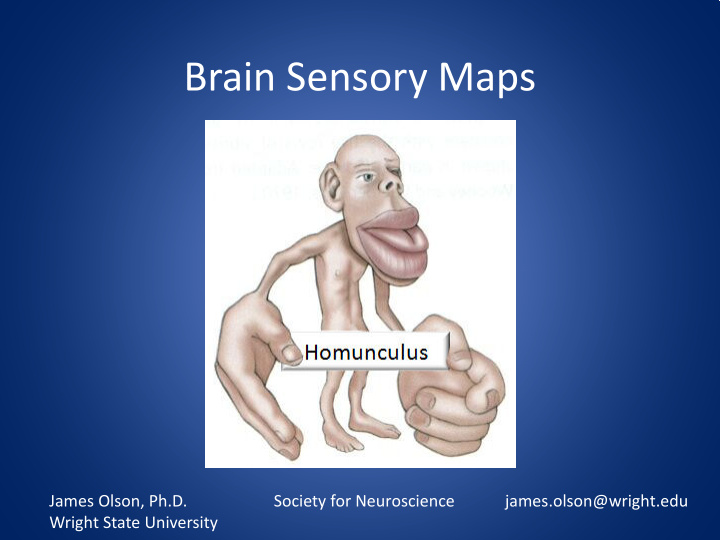 brain sensory maps