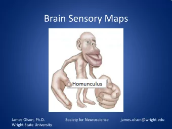 Brain Sensory Maps  James Olson, Ph.D.  Society for Neuroscience  james.olson@wright.edu  Wright