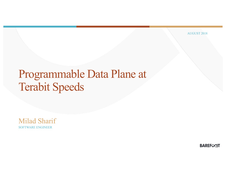 programmable data plane at terabit speeds