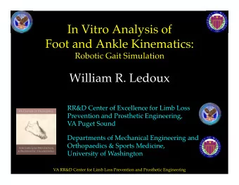 In Vitro Analysis of  Foot and Ankle Kinematics:   Robotic Gait Simulation  William R. Ledoux