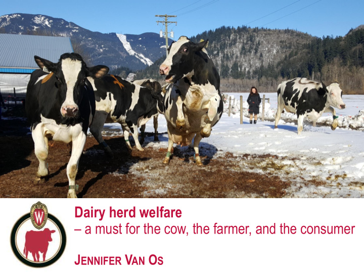 dairy herd welfare