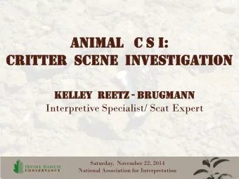 An  Animal  mal   C S I:  :  Critter  itter  Sce  cene  ne  inve  nvesti  stigat  gation  ion