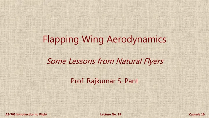 flapping wing aerodynamics