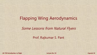 Flapping Wing Aerodynamics  Some Lessons from Natural Flyers  Prof. Rajkumar S. Pant  AE-705