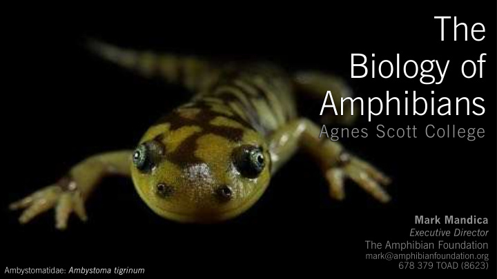 the biology of amphibians