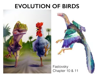 EVOLUTION OF BIRDS  Fastovsky  Chapter 10 &amp; 11  Is it a Dinosaur or Bird?  DINOSAUR!
