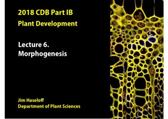 Morphogenesis  paper cup  pitcher plant  Plant cells are immobilised. Morphogenesis is driven by