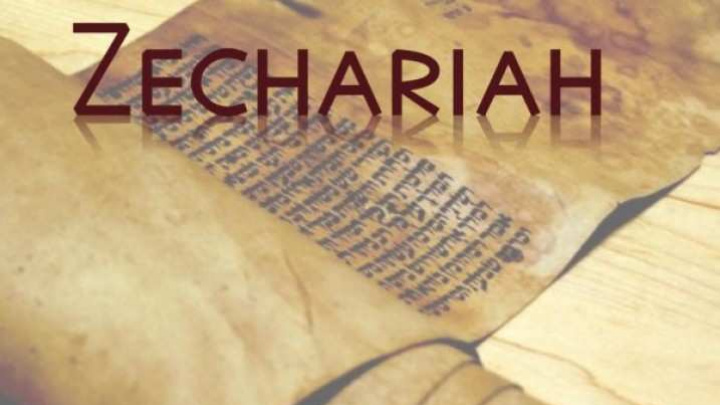 zechariah 3 8 9 8 now listen joshua the high priest you