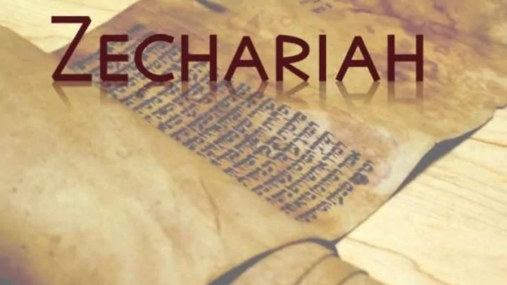 zechariah 3 8 9 8 now listen joshua the high priest you