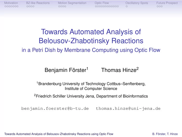 towards automated analysis of belousov zhabotinsky