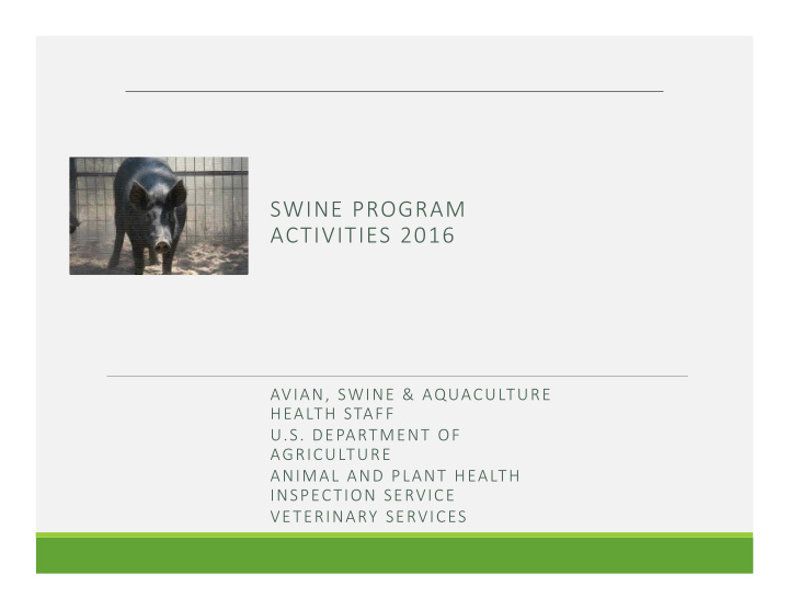 swine program activities 2016