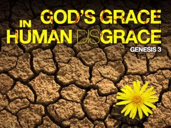 What is wrong  with the world?  terrorism  suicide  poverty  intolerance  racism  corruption  war