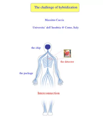 The challenge of hybridization  Massimo Caccia  Universita dellInsubria @ Como, Italy  the