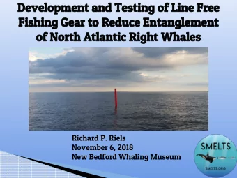 Development and Testing of Line Free  Fishing Gear to Reduce Entanglement  of North Atlantic Right
