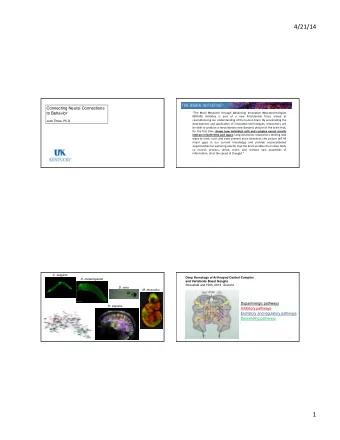 4/21/14    Connecting Neural Connections The   B rain   R esearch   through   A